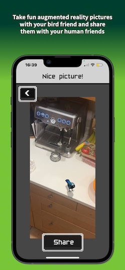 A photo of a kitchen with a bluejay on the counter. Take fun augmented reality pictures with your bird friend and share them with your human friends